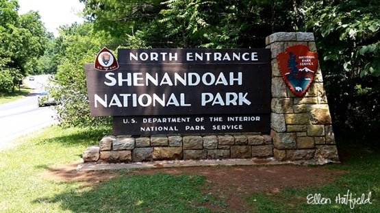 Shenandoah NP, VA